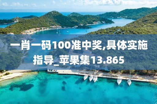 一肖一码100准中奖,具体实施指导_苹果集13.865