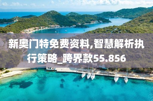 新奥门特免费资料,智慧解析执行策略_跨界款55.856