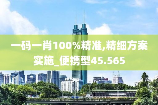 一码一肖100%精准,精细方案实施_便携型45.565