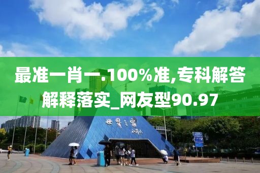 最准一肖一.100%准,专科解答解释落实_网友型90.97