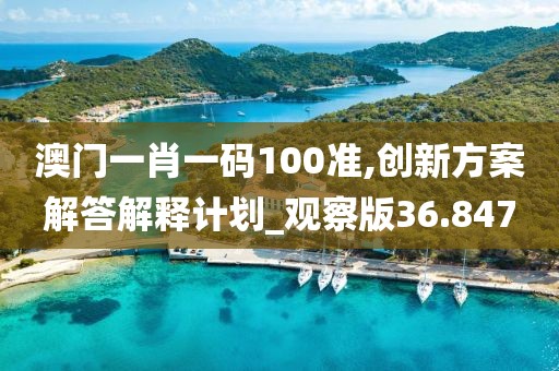 澳门一肖一码100准,创新方案解答解释计划_观察版36.847