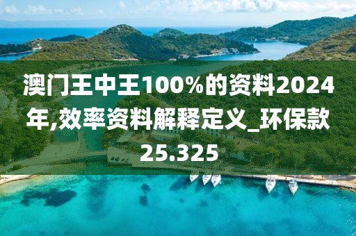 澳门王中王100%的资料2024年,效率资料解释定义_环保款25.325