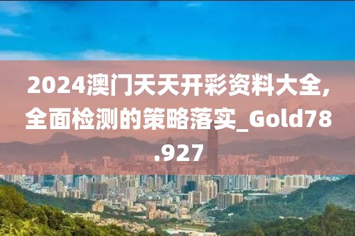 2024澳门天天开彩资料大全,全面检测的策略落实_Gold78.927