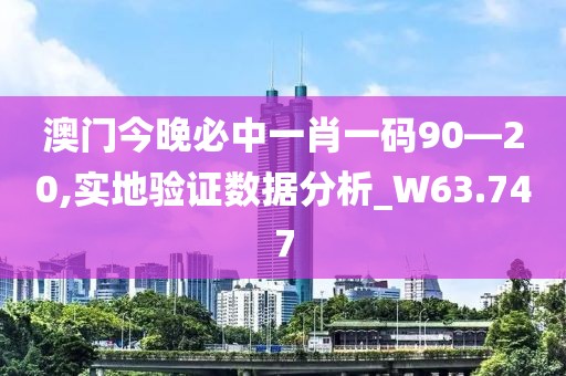 澳门今晚必中一肖一码90—20,实地验证数据分析_W63.747