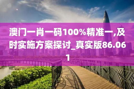 澳门一肖一码100%精准一,及时实施方案探讨_真实版86.061