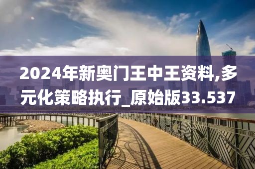 2024年新奥门王中王资料,多元化策略执行_原始版33.537