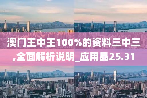 澳门王中王100%的资料三中三,全面解析说明_应用品25.31