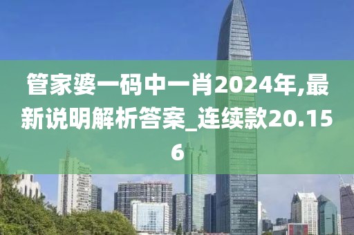 管家婆一码中一肖2024年,最新说明解析答案_连续款20.156