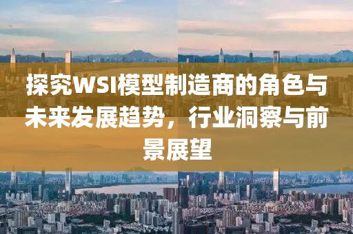 wsi模型制造商