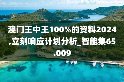 澳门王中王100%的资料2024,立刻响应计划分析_智能集65.009