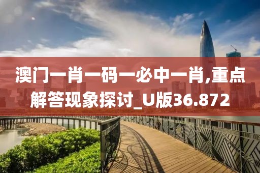 澳门一肖一码一必中一肖,重点解答现象探讨_U版36.872