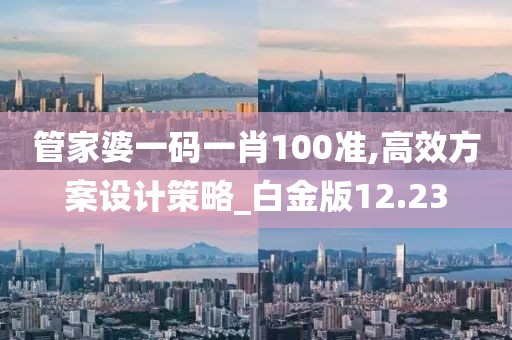 管家婆一码一肖100准,高效方案设计策略_白金版12.23