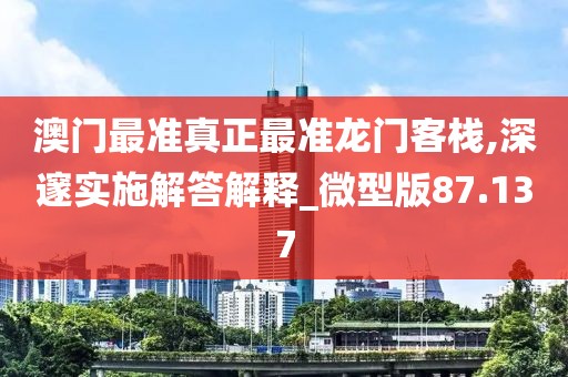 澳门最准真正最准龙门客栈,深邃实施解答解释_微型版87.137