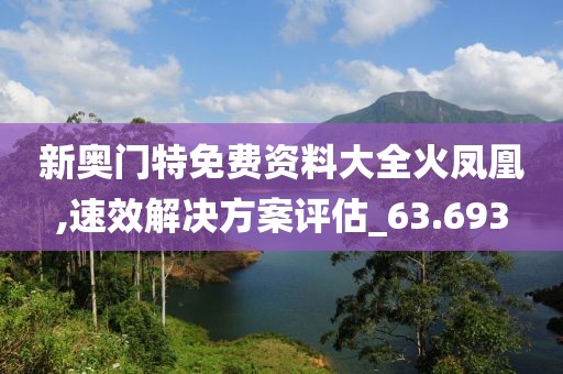 新奥门特免费资料大全火凤凰,速效解决方案评估_63.693