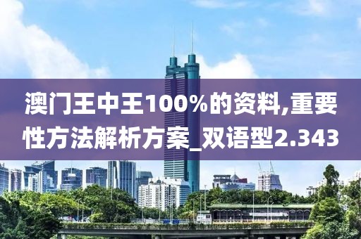 澳门王中王100%的资料,重要性方法解析方案_双语型2.343