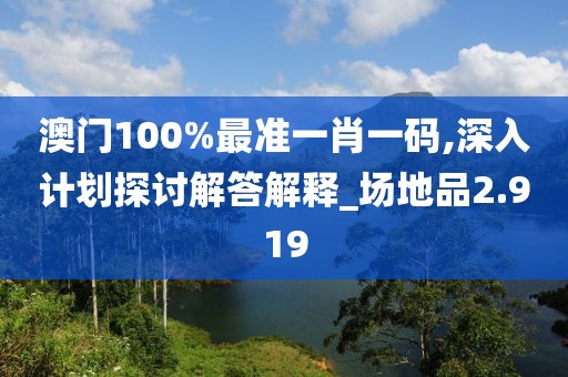 澳门100%最准一肖一码,深入计划探讨解答解释_场地品2.919