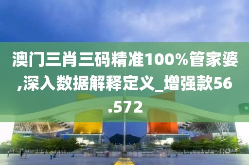 澳门三肖三码精准100%管家婆,深入数据解释定义_增强款56.572