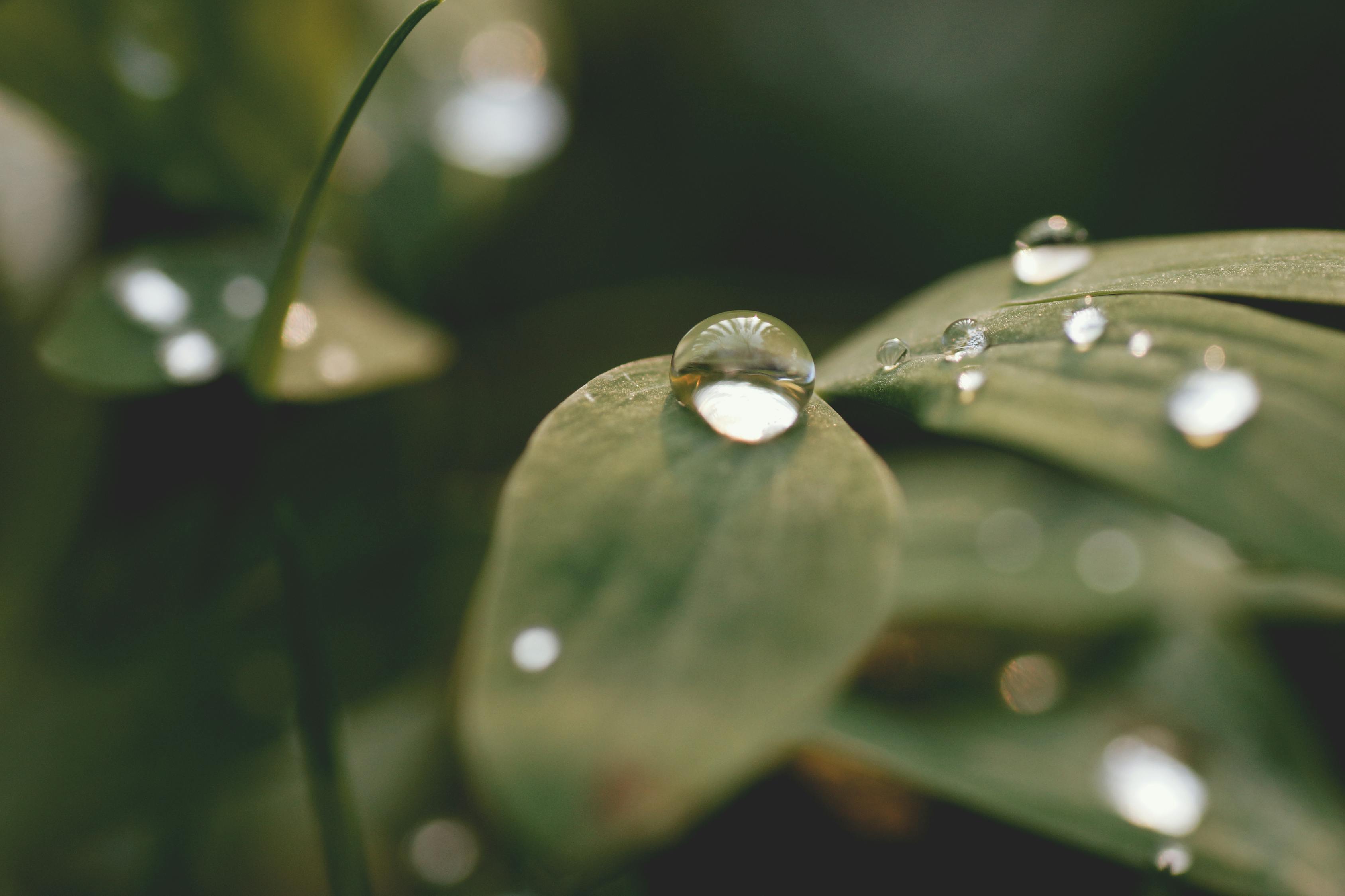 秋意渐浓，白露时节的韵味与习俗