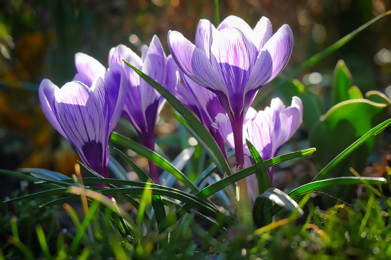 教师节致敬，默默耕耘的园丁颂歌