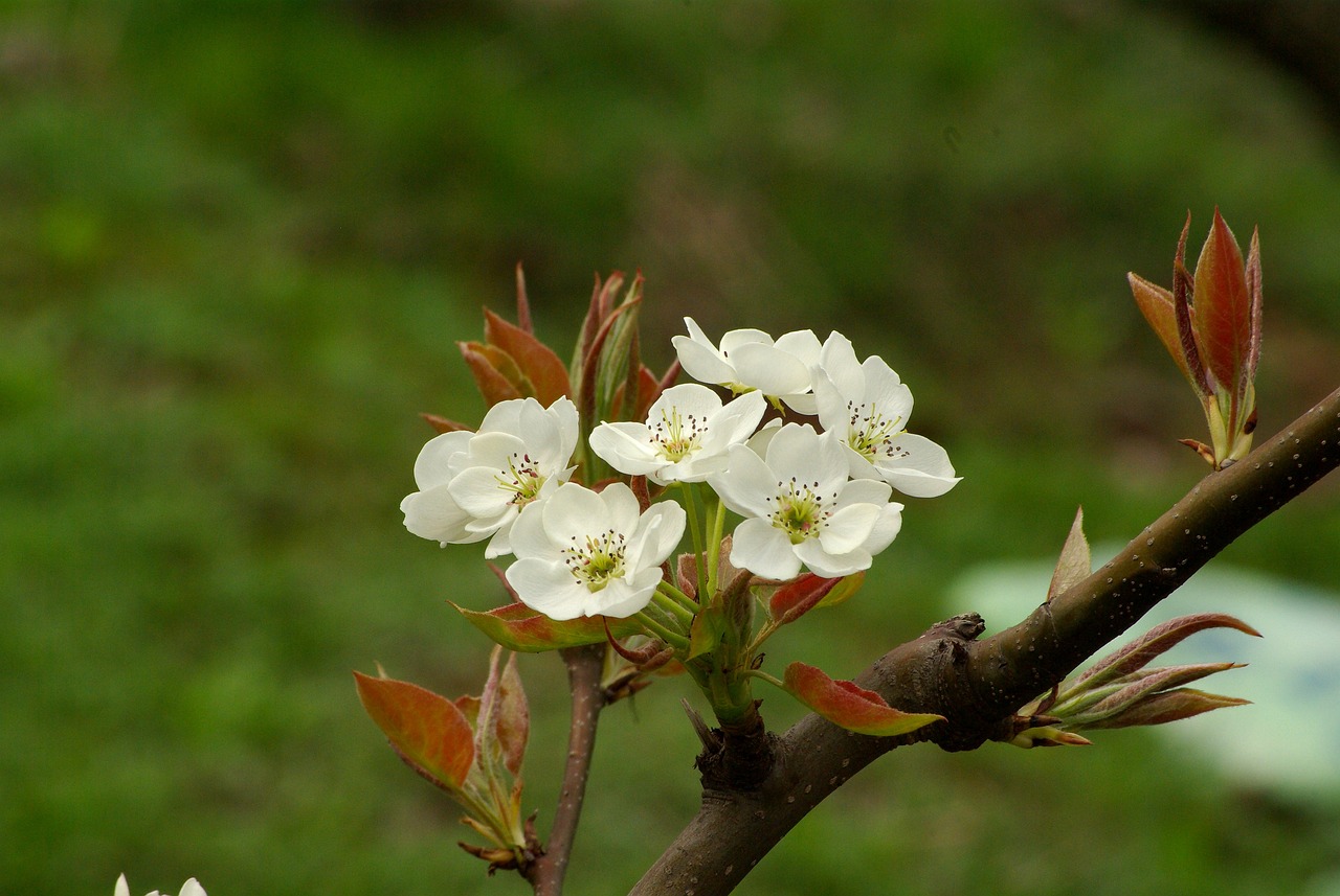 中元节